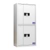臻远 通双节带斗保密柜 ZY-G043 1850mm*900mm*430mm