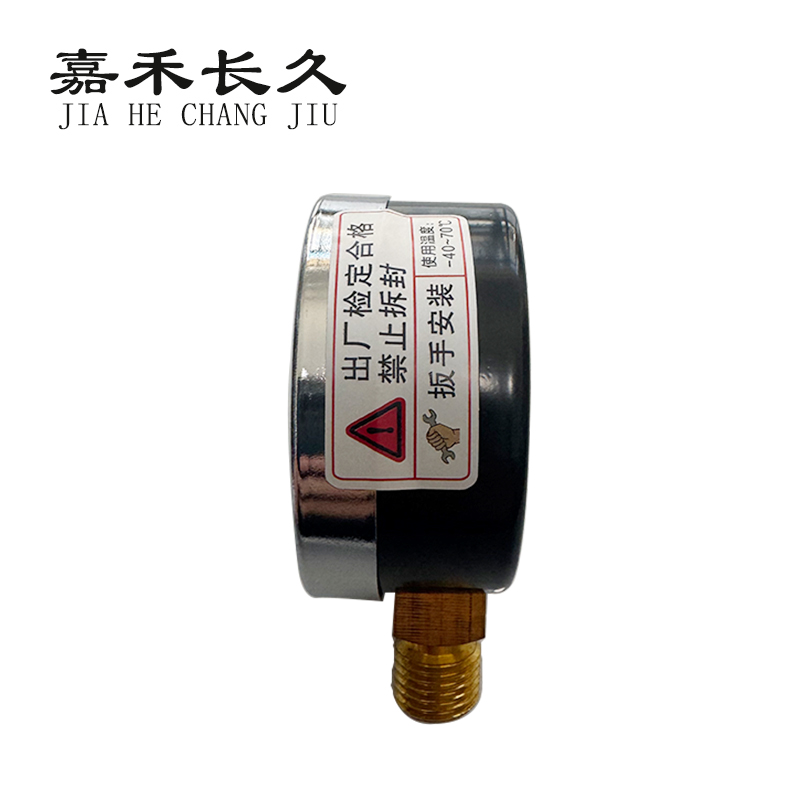 嘉禾长久/压力表/Y60 /个高清大图