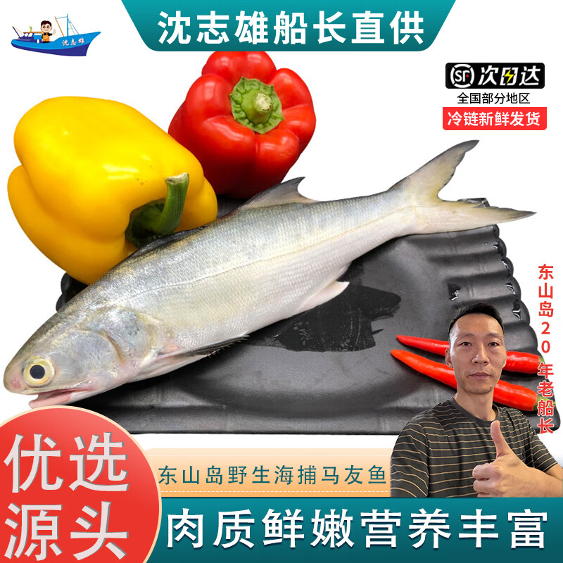 沈志雄船长 东山岛海鲜海捕马友鱼午鱼袋装 3-5条/1000g 海鲜礼包