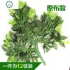 塑料榕树枝园林装饰叶片绿植物树叶田园客厅藤蔓假树叶 封后 普通榕树叶绿杆(12支)仿真植物