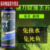 新款除青苔除苔剂除苔素去绿藻防伤鱼去藻剂除绿鱼缸水藻鱼池除 除藻剂150ml（买二送一）