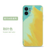 可波 苹果12手机壳12ProMax磨砂iPhone11Pro硅胶轻薄Mini防摔软壳镜头全包por保护套春夏秋冬彩绘