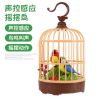 声控电动感应灯光仿真小鸟双鹦鹉会叫会动会说话鸟笼儿童玩具 小鸟笼双鹦鹉526A 自备电池