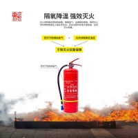 正天齐 手提式干粉灭火器MF/ABCE5
