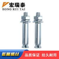 宏瑞泰 膨胀螺丝 M10*100 个