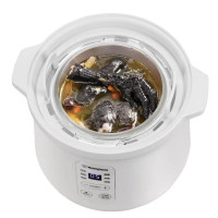 西屋(Westinghouse)电炖盅 1.2L小型电炖锅 智能24H预约 WDZ-121