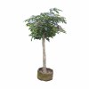 海铁科技芒果树3m Φ7-10/棵