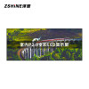 泽显/Zshine LC-P2.0AGHY 全彩色显示屏 4.16*1.76m室内
