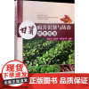 甘薯病害识别与防治原色图鉴 黄立飞等著 甘薯种植技术紫薯红薯书籍甘薯病虫害防治图谱 精准识别和防治甘薯病害 97871