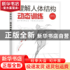 正版 理解人体结构 动态训练 戚浩松 人民邮电出版社 97871155960