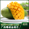 (需催熟)广西百色金煌芒果5斤大果(单果300-400g)新鲜水果整箱当季现摘大果生鲜自营新鲜大芒果热带水果甜心芒