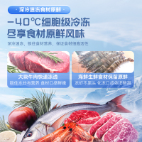 澳柯玛BC/BD-150DSNE零下40度家用冷柜电脑控温节能省电冰柜冷冻冷藏减霜少霜冰箱