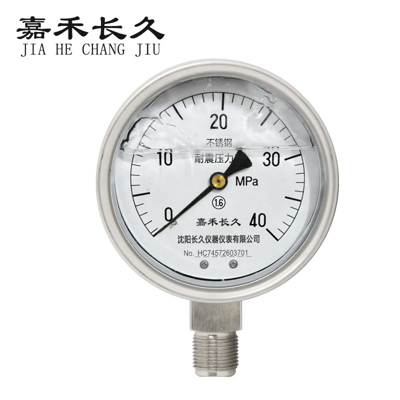 嘉禾长久 不锈钢耐震压力表检测定制型 YTN100BF 块 YTN100BF0-40Mpa