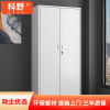 科野办公家具凭证柜文件柜铁皮柜档案柜资料柜文件柜其他金属办公柜收纳柜整理柜可定制
