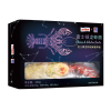 芝士焗龙虾拌面&牛腩汤面3盒装