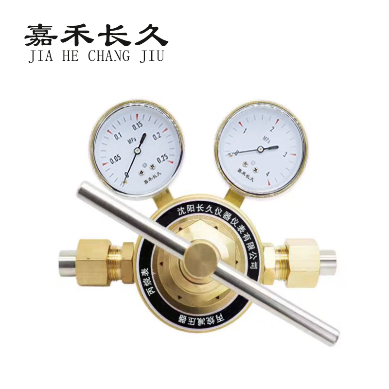 嘉禾长久 丙烷减压器检测定制型 丙烷表 个 丙烷表