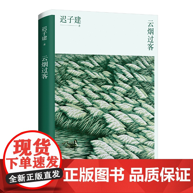 云烟过客 迟子建散文系列 新版 中国现当代随笔传记名家经典散文集作品选集 青少年课外阅读精选文学书籍 正版书籍