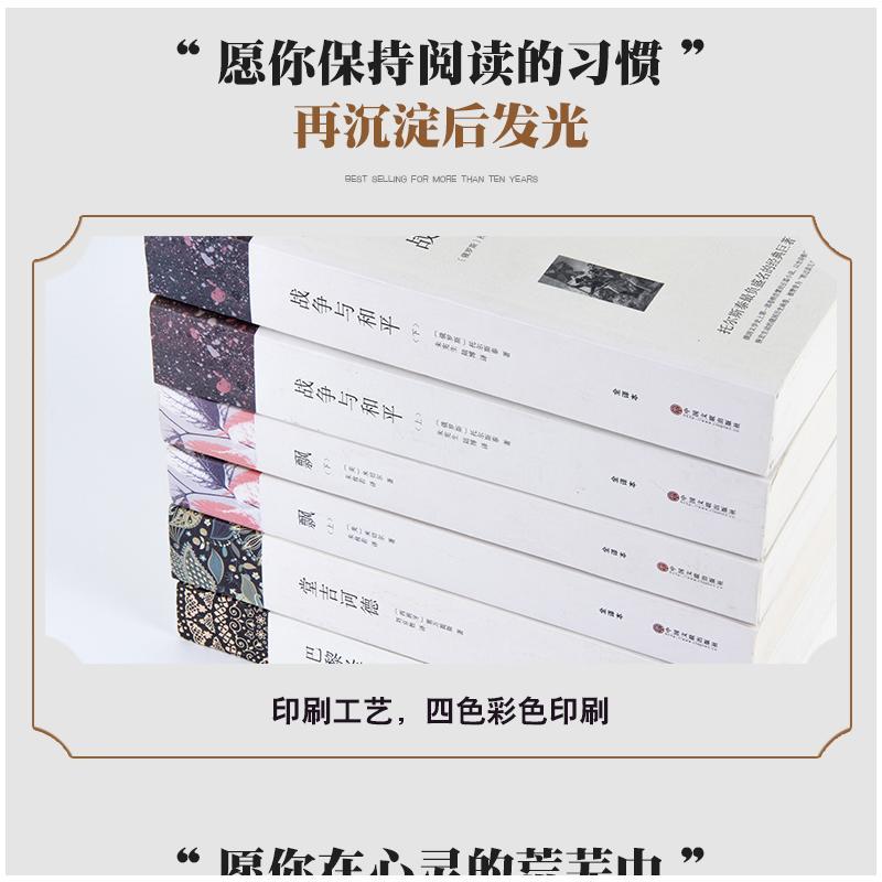 世界十大名著套装 (英)狄更斯 著 宋兆霖 译等 文学 文轩网