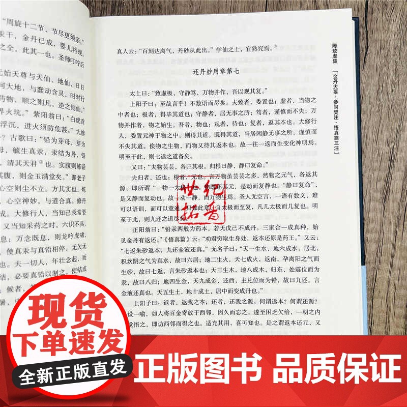 正版 陈致虚集 陈致虚撰 盛克琦整理 华龄出版社高清大图