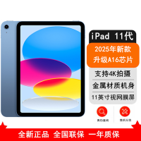 [原封]Apple iPad 11代 512GB WLAN版 蓝色 A16芯片 1200万像素 4K录制视频 学习娱乐办公平板电脑