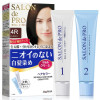 塔莉雅(DARIYA)便捷润彩染发霜 4R深铜棕色(日本进口 遮盖白发染发膏 无味染发剂)