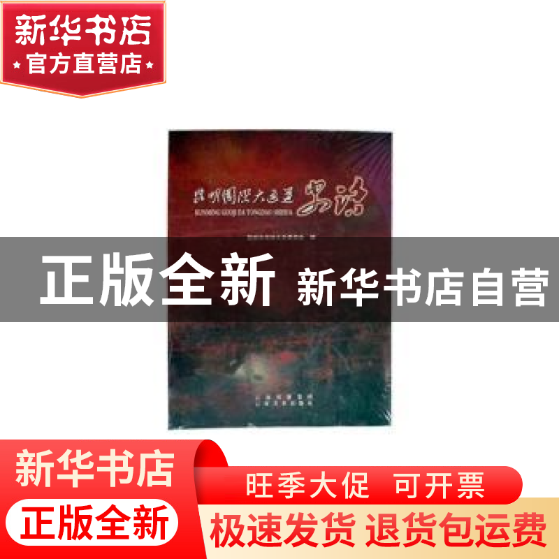 正版 昆明国际大通道史话(精) 汪叶菊主编 云南美术出版社 978754