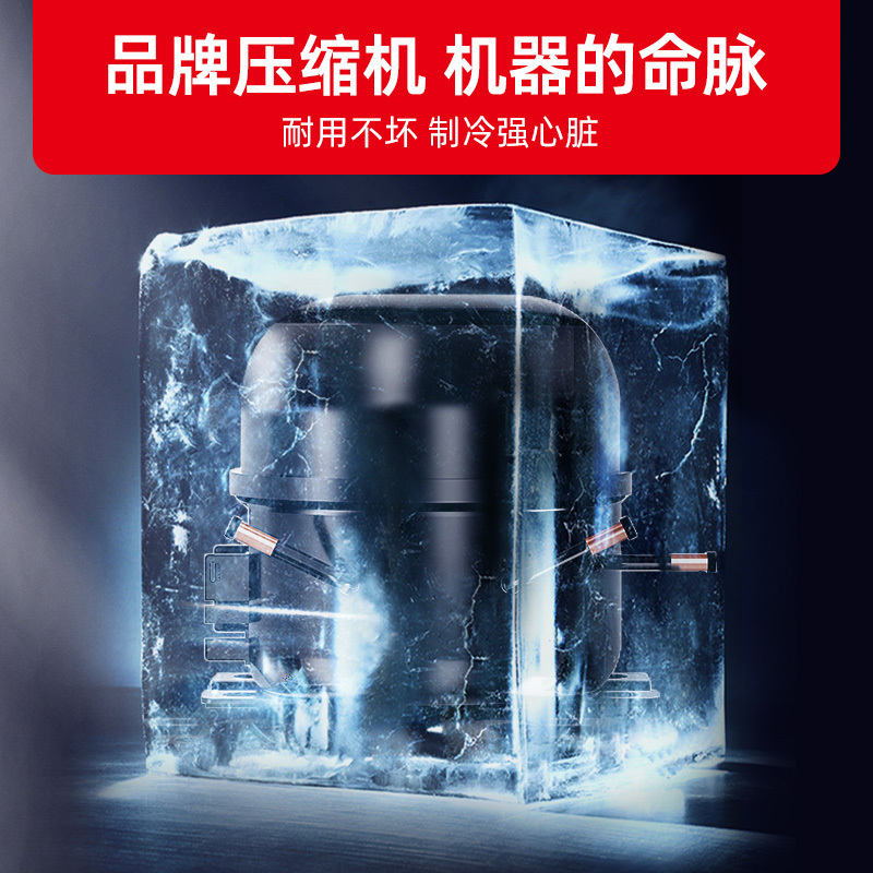 星星(XINGX) BCD-315JE 315升 卧式冷柜 冰柜 顶开门 商户好搭档 二级节能 加厚发泡层双温双箱