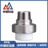 中锦科技 PPR外螺纹活接PPR32 ×3/4 (6分) 个