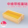 蜂巢框中蜂成品巢框 巢脾 意蜂带框巢础杉木巢框蜂箱专用养蜂工具 中蜂成品巢框(5个装)