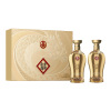 五粮液股份公司出品 金碧辉煌 龙行大运 浓香型白酒52度 500ml*2瓶礼盒 年货送礼1469