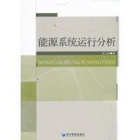 全新正版能源系统运行分析9787509639283经济管理出版社