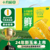 十月稻田鲜食黄糯玉米4.4斤(220g*10根) 整箱东北甜糯新鲜嫩玉米棒 低脂礼盒 早餐杂粮