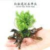 鱼缸造景沉木水草装饰懒人水草新手耐养植物水榕活体绿金钱多头草 红松草沉木单头
