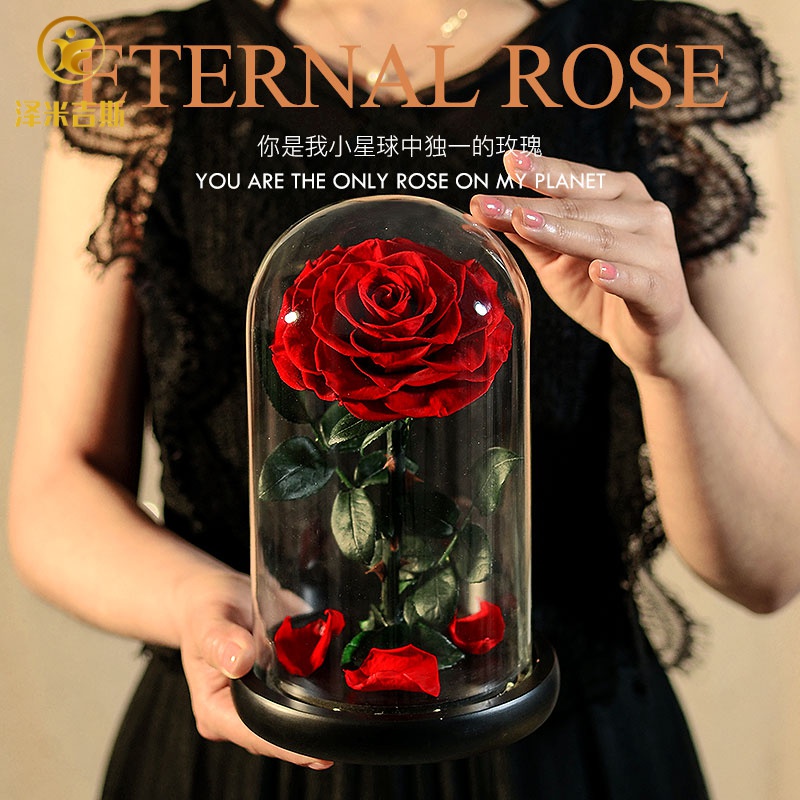 红玫瑰永生花礼盒小王子玻璃罩夜灯情人节女生日品母亲节花束