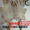 蟾衣大蟾蜍衣 蟾壳 癞蛤蟆衣自然脱落10张店另有蟾皮蟾蜍 如图