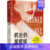 [正版]余杭 图书鳄鱼的黄眼睛 卡特琳娜班科尔 女性主义文学经典代表作 法国小说 外国现当代文学小说