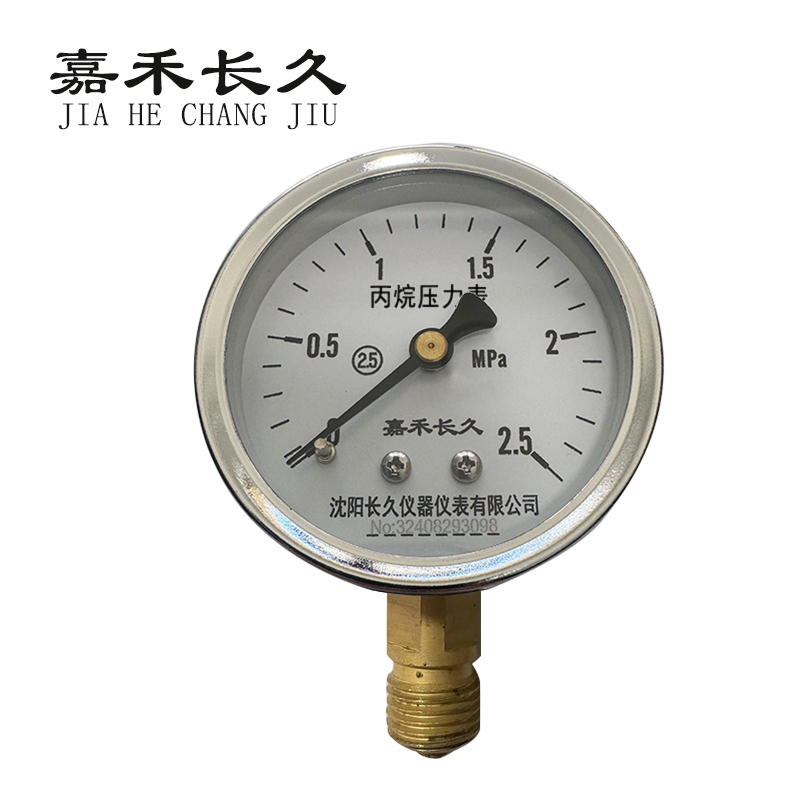 嘉禾长久 丙烷压力表 块 Y60，0-2.5Mpa