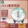 2022春茶凤凰窝头春普洱生茶饼云南普洱茶七子饼茶叶357g