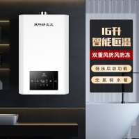 欢呼好太太 16升燃气热水器 三档智能支持恒温 家用强排式热水器WTR16L 液化气