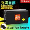 雅迪电动车电瓶充电器原装48V12AH60V20AH72V20AH自动关机 雅迪自动关机48V12AH