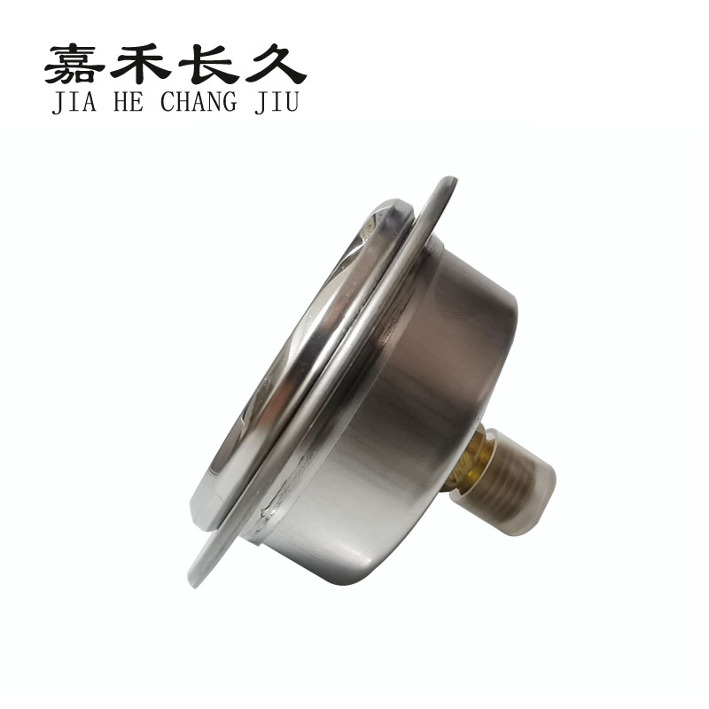 嘉禾长久+耐震压力表轴向带边检测定制型+YTN60ZT+块高清大图