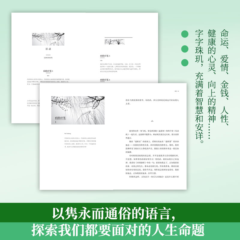[正版]病隙碎笔(2021纪念版) 史铁生灵性光辉生命笔记 启迪无数读者长篇文学哲思散文 深刻困境中寻获信心与爱中国文高清大图