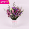 勿忘我干花 客厅装饰花摆件卧室干花插花风干真花花束diy材料 FENGHOU (混搭6色勿)加配草+仿陶瓷白篮