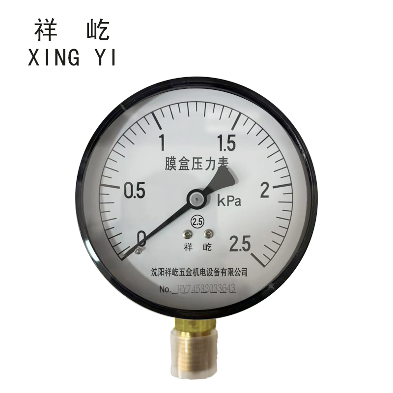 祥屹+膜盒压力表检测定制型+YE60+块高清大图