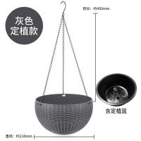 吊兰花盆吊篮塑料绿萝悬挂垂吊吊盆壁挂挂墙挂盆藤编吸水懒人挂钩 定植篮款-灰色 篮宽21cm(中号)