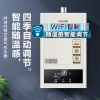 阿诗丹顿(USATON)13升燃气热水器天然气智能变频恒温随温感安全自检JSQ25-13D3(WIFI版)