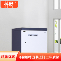 科野 防磁柜CD光盘柜磁盘柜U盘柜信息安全柜储存柜 防磁柜二抽
