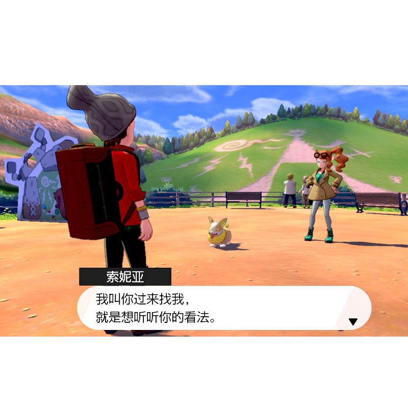 任天堂(Nintendo)Switch游戏软件 NS游戏卡带 国行外版通用 宝可梦 盾 中文字幕高清大图
