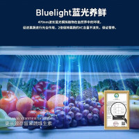 倍科(BEKO)553L两门双门冰箱大宽门冰箱原装进口风冷无霜节能大容量蓝光恒蕴养鲜电冰箱 CN160220IW