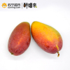 醉疆来 品质水果 贵妃芒 树上熟 海南芒果 约2.5KG 新鲜水果 礼盒装 产地直采